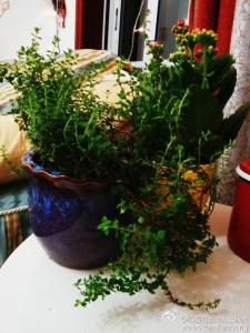 67021211jw1ehx9cxbl3bj20qo0zkdk9