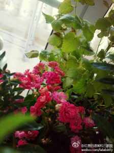 67021211jw1eiic105qz8j20h00modgq