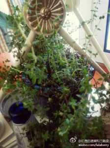 67021211jw1eiic11zns0j20h00moq40