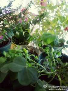 67021211jw1eiic12y3g1j20h00mo3zl