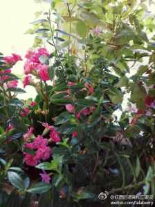 67021211jw1eiic13trpyj20h00moq48